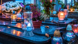 Posadź je na cmentarzu zamiast ciętych kwiatów. Będą kwitły wiele tygodni 