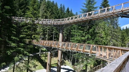 ​Ta ścieżka w koronach drzew jesienią zapiera dech w piersiach. Idealne miejsce zarówno dla dzieci, jak i seniorów