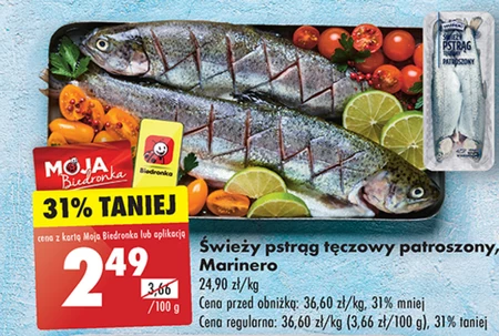 Pstrąg tęczowy Marinero