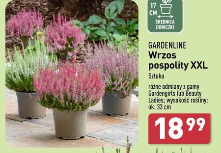 Wrzos Gardenline