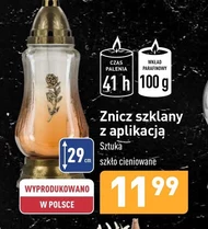 Znicz