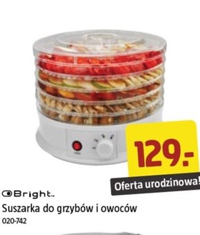 Suszarka do grzybów Bright niska cena