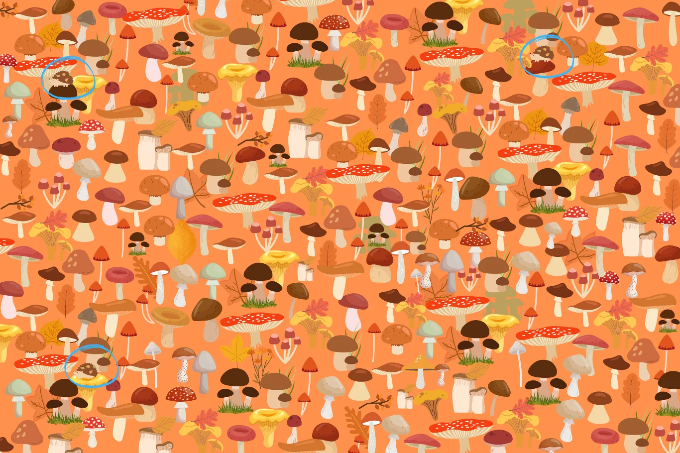 W tych miejscach ukryły się jeże. Udało ci się wszystkie odnaleźć? 