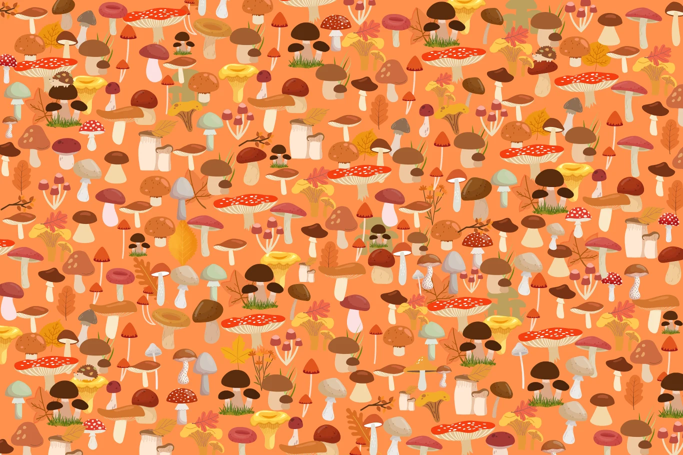 Zagadka na spostrzegawczość. Dasz radę odnaleźć wszystkie jeże ukryte wśród grzybów?