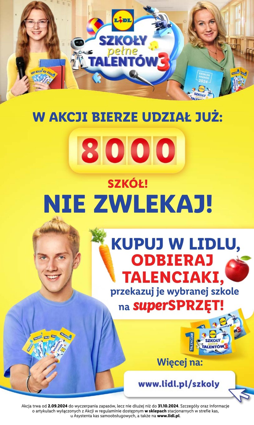 Gazetka: Mega okazje na start tygodnia - Lidl - strona 13