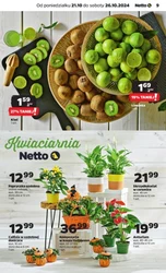 Cenowe hity tylko teraz! - Netto