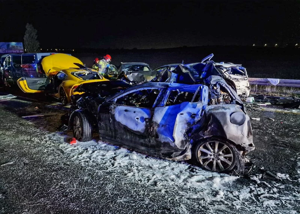 W karambolu zginęły 4 osoby, a 12 zostało rannych / Fot: Straż Pożarna