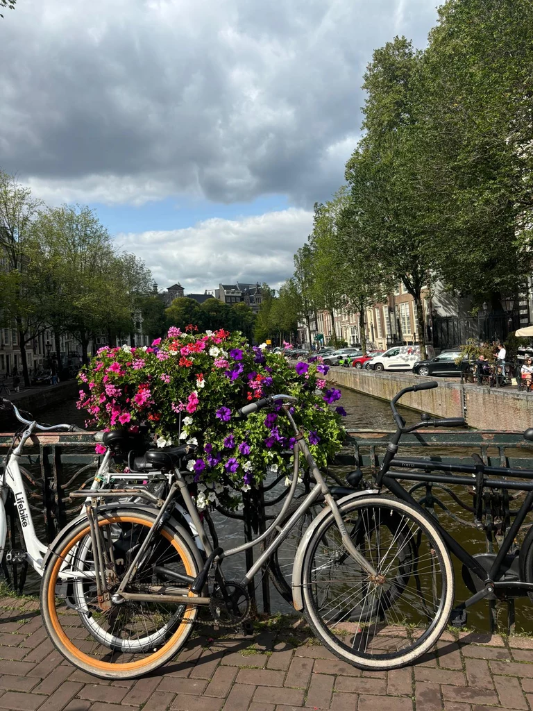 Styl życia jest zrównoważony, z silnym naciskiem na ekologię i mobilność. Rowerzyści dominują na ulicach Amsterdamu. 