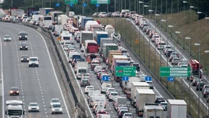 Polacy masowo kupują jeden rodzaj aut. Takiego wyniku jeszcze nie było