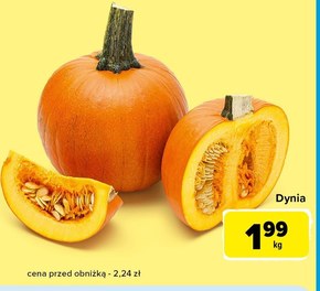 Dynia niska cena