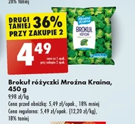 Brokuł Mroźna Kraina