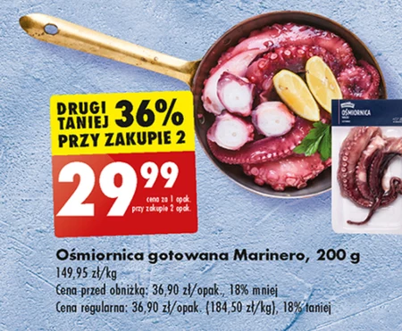 Ośmiornica Marinero