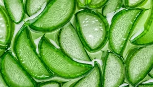 Sok z aloesu wystarczy wymieszać z wodą i wypić. Napój ukoi jelita i zbije poziom cukru