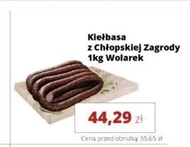 Kiełbasa Wolarek