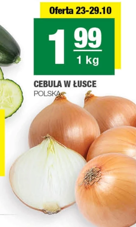 Cebula