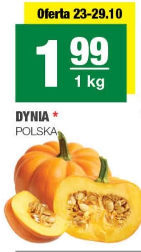 Dynia