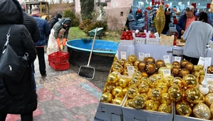 Takich ofert pacy przybywa przed świętami Bożego Narodzenia 