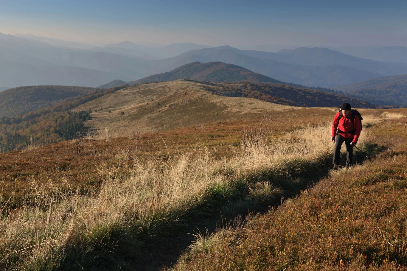 Gdzie w Bieszczady jesienią? Nie tylko Połonina Wetlińska jest dobrym celem. 