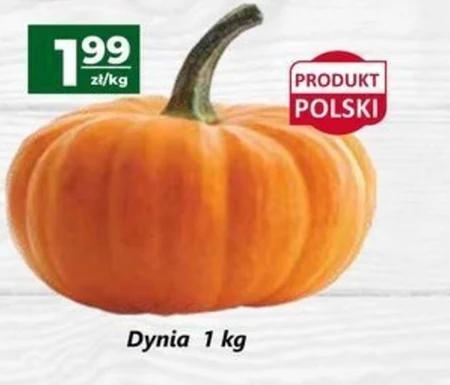 Dynia Polski