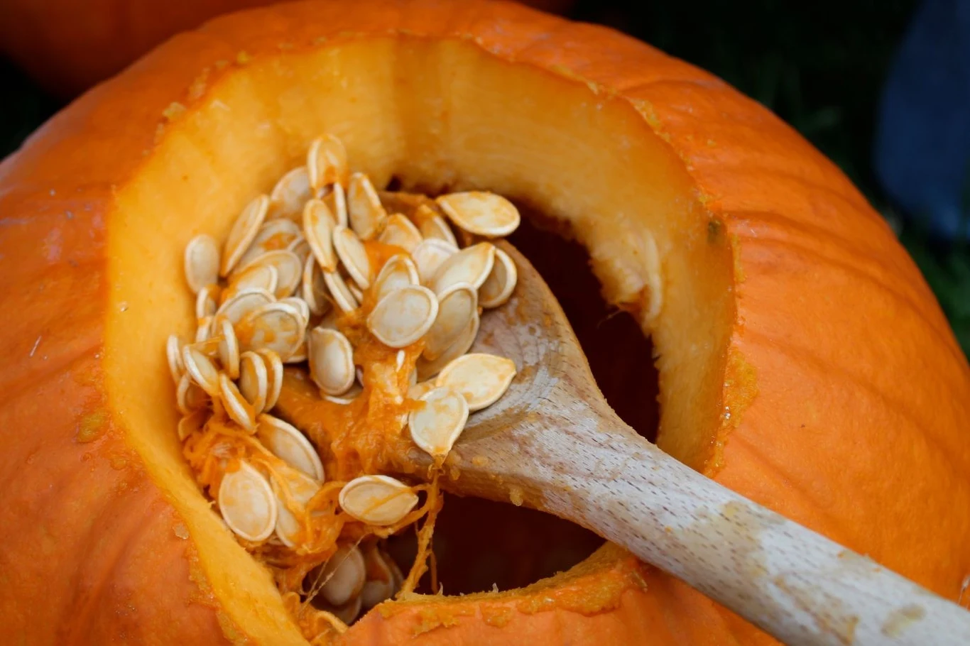 Wycinanie wzorów na dyni może być czasochłonne. Prosty trik sprawi, że ozdobisz ją w 15 minut Wycinanie wzorów na dyni może być czasochłonne. Prosty trik sprawi, że ozdobisz ją w 15 minut