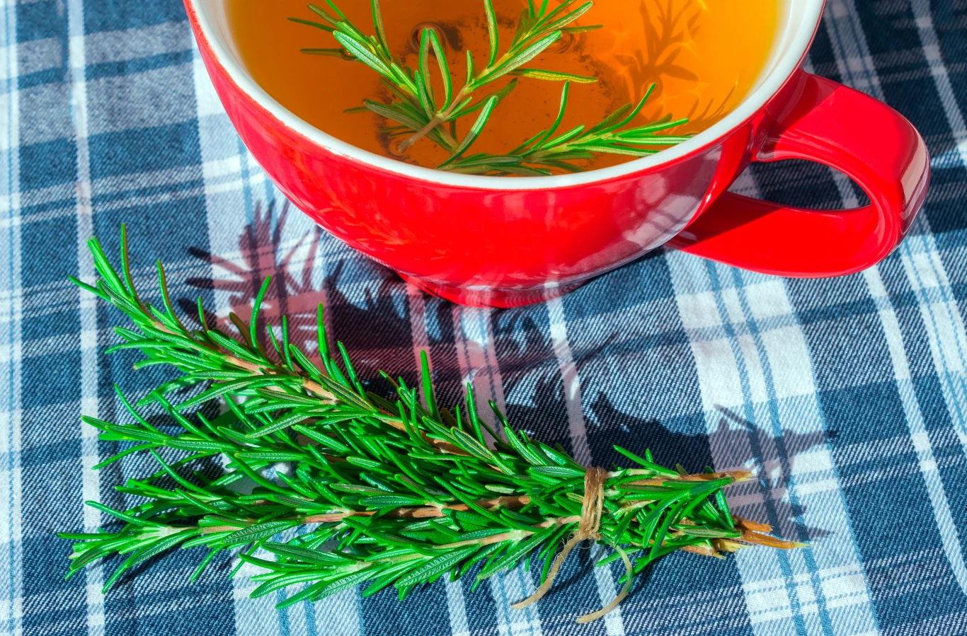 Do herbaty dodaj kilka gałązek rozmarynu. Dzięki temu napój zadziała rozgrzewająco i złagodzi nieprzyjemne objawy przeziębienia. Do herbaty dodaj kilka gałązek rozmarynu. Dzięki temu napój zadziała rozgrzewająco i złagodzi nieprzyjemne objawy przeziębienia.