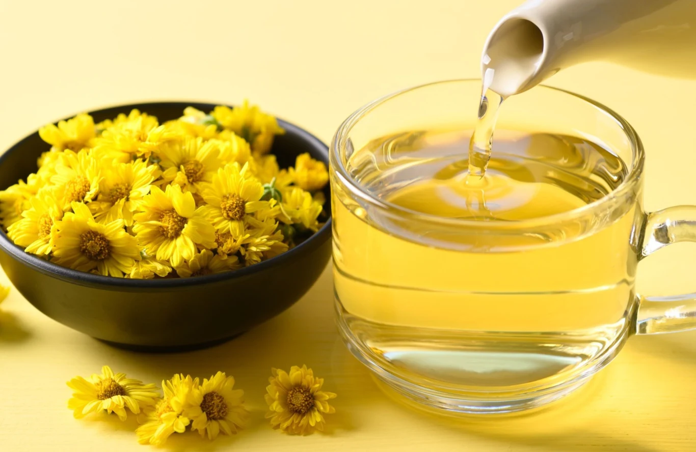 Napar z kwiatów chryzantemy działa cuda. Odkryj jego właściwości Napar z kwiatów chryzantemy działa cuda. Odkryj jego właściwości