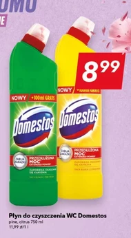 Płyn do czyszczenia wc Domestos