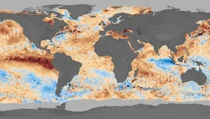 Naukowcy łapią się za głowy. El Niño od milionów lat zmienia pogodę 