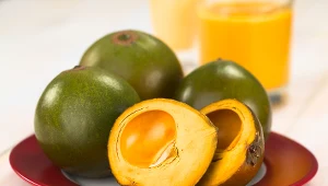 Lucuma to wyjątkowy owoc. Czym się wyróżnia?/ fot. Canva