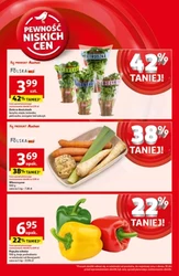 Oszczędzaj z pysznymi produktami - Auchan