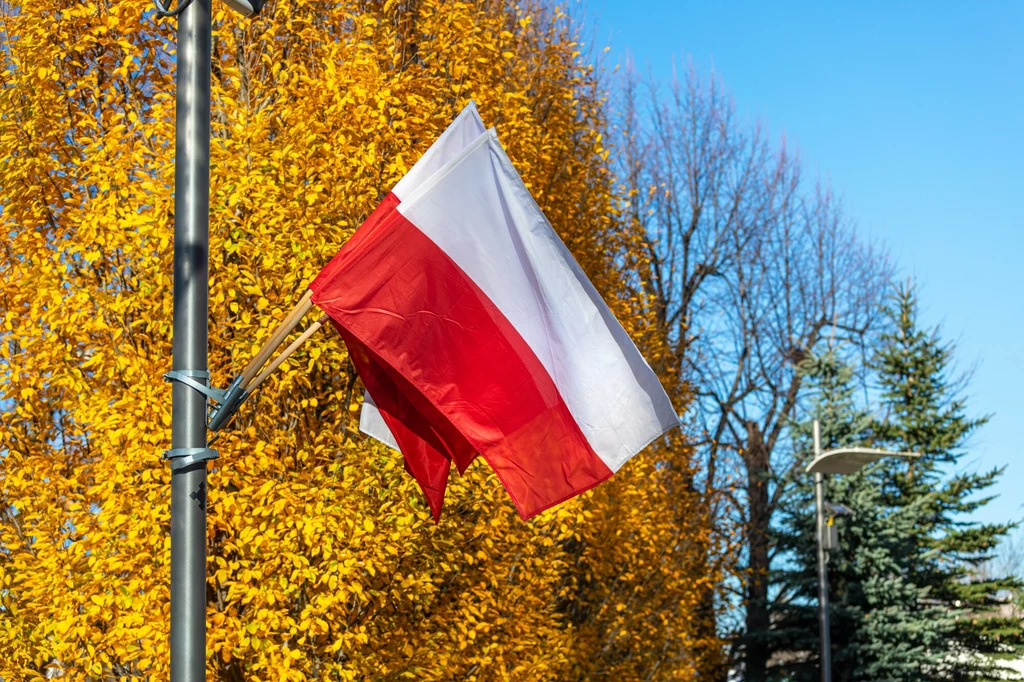 Międzynarodowy Fundusz Walutowy (MFW) opublikował dane dotyczące prognozowanej inflacji CPI w Polsce na koniec 2024 r.