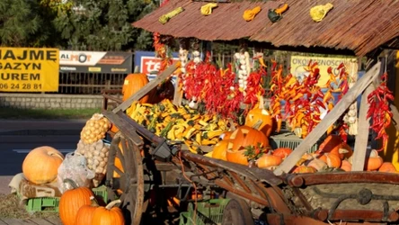 Polacy pokochali tę sezonową atrakcję turystyczną. Jeśli się wybierasz, szykuj się na kolejki