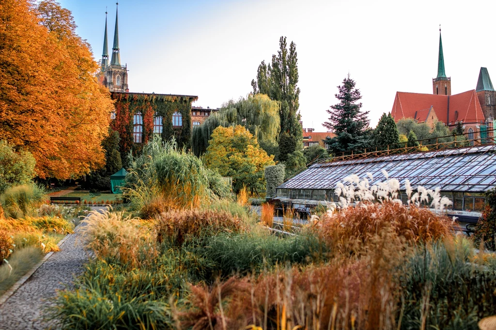 Wrocławski Ogród Botaniczny czeka rozbudowa. Nowy obiekt powstanie w 2027 r.