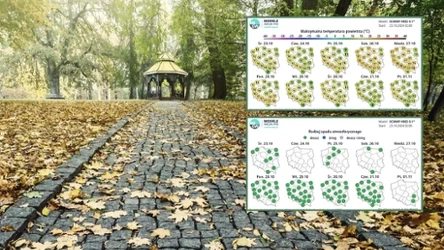 Pogoda na Wszystkich Świętych 2024 może się okazać łagodniejsza. Na zachodzie być może będzie do 15 stopni Celsjusza. Na południowym wschodzie może słabo popadać