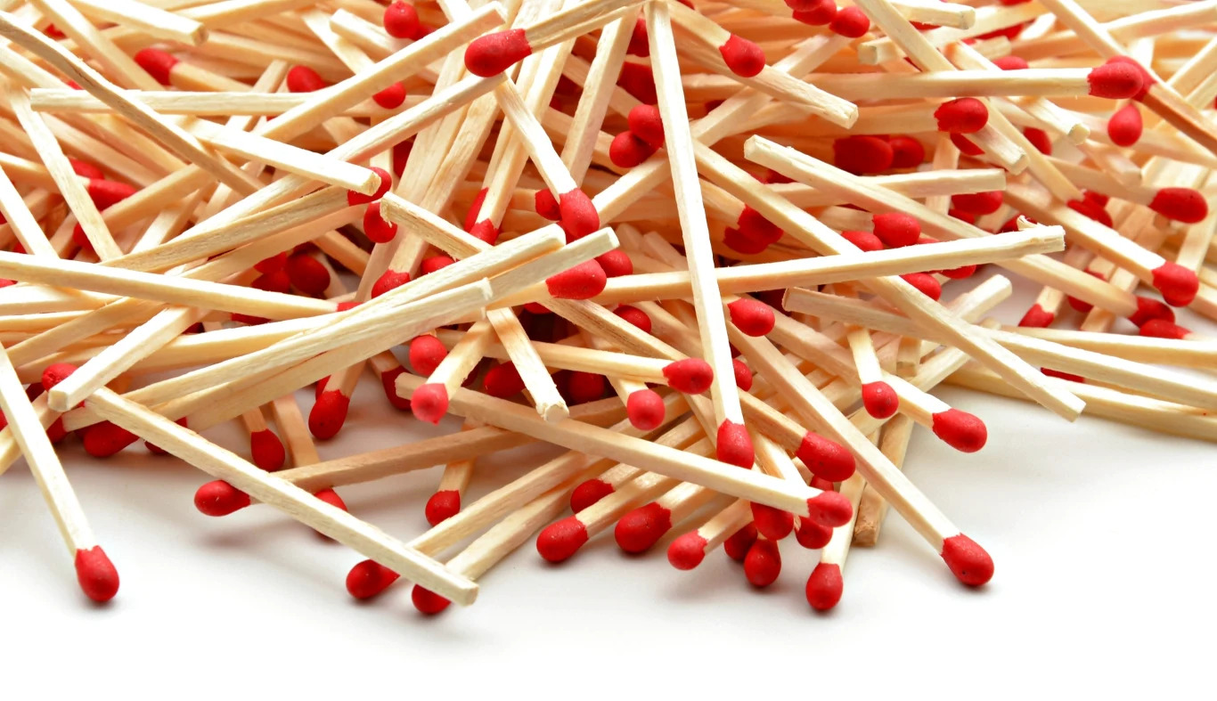 Zapałki to dawny patent na poprawę kondycji roślin doniczkowych Zapałki to dawny patent na poprawę kondycji roślin doniczkowych