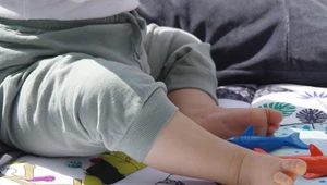 Rok "babciowego" kosztował 5 mld zł. "Zainteresowanie pozostaje bez zmian"