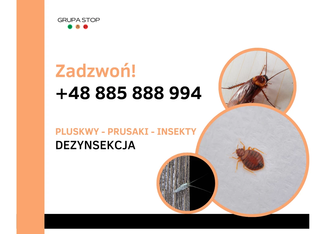 Grupa Stop Dezynsekcja