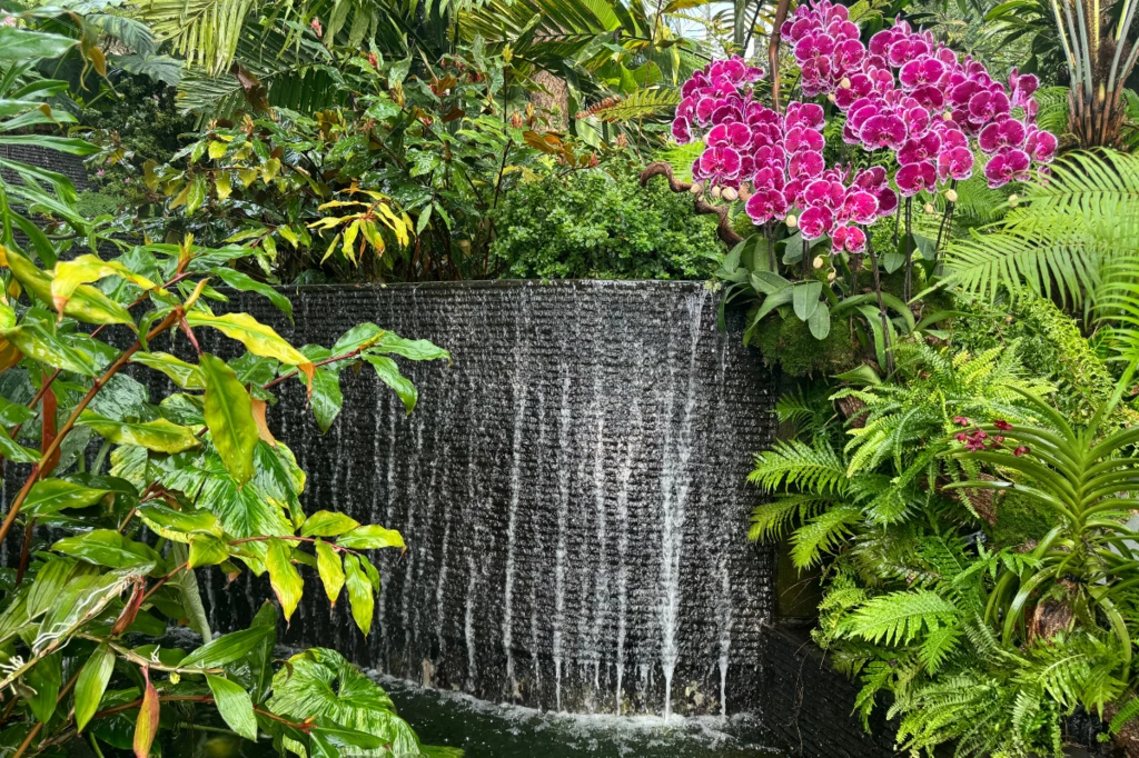 Gardens by the Bay 