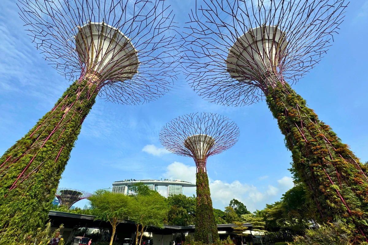 Wejście do ogrodów Wejście do ogrodów