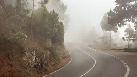 W czwartek rano większość Polski tonęła w gęstej mgle, miejscami ograniczającej widzialność do 100 metrów