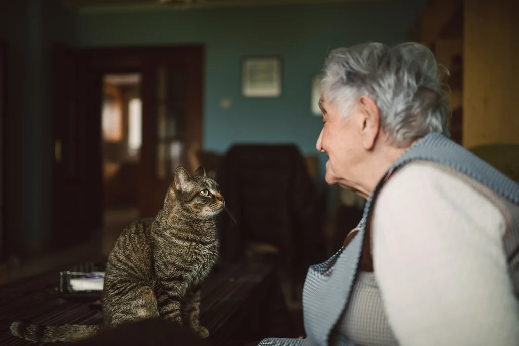 Koty uwielbiają towarzystwie seniorów z wzajemnością 