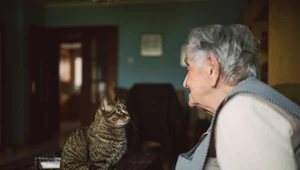 Koty uwielbiają towarzystwie seniorów z wzajemnością 