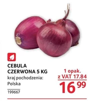 Cebula czerwona