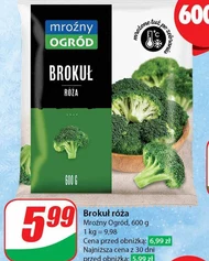 Brokuł Mroźny ogród