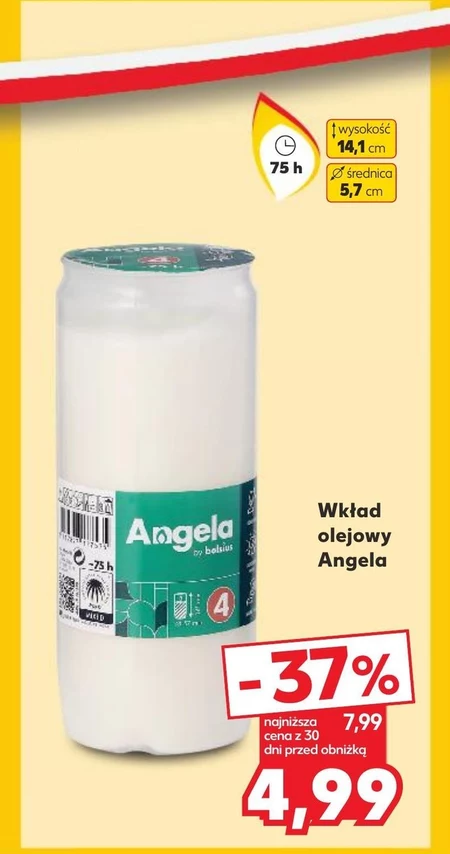 Wkład olejowy Angela