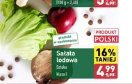 Sałata lodowa Polski