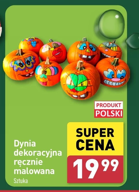 Dynia Polski