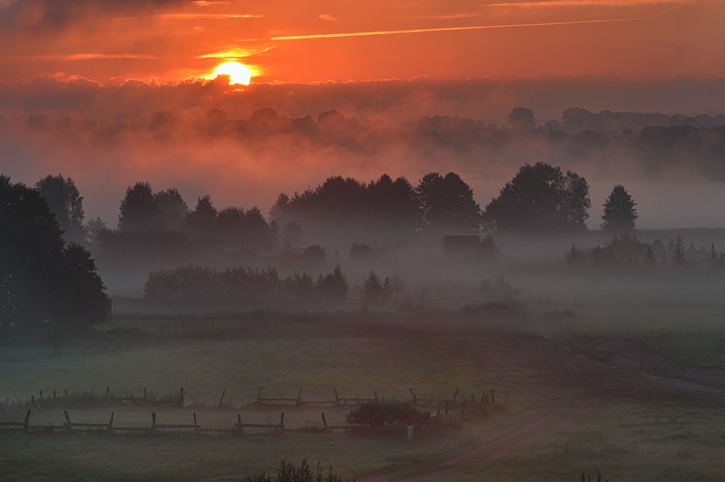 Mgła na Mazurach