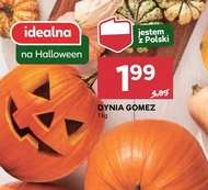 Dynia Halloween