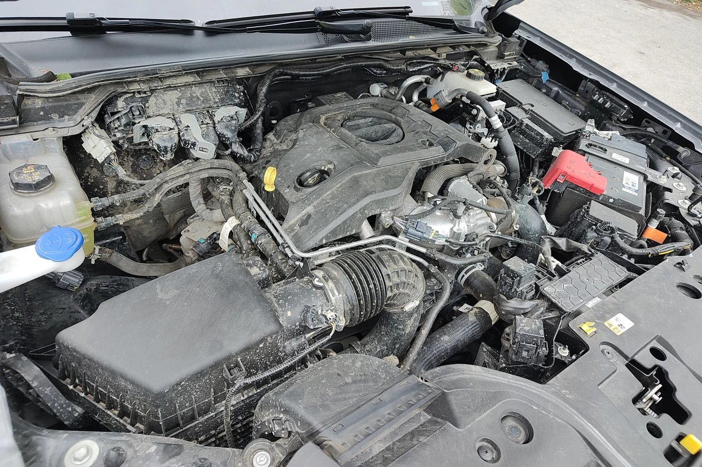 Sześciocylindrowy silnik generuje 240 KM i 600 Nm. Zużycie paliwa utrzymuje się na akceptowalnym poziomie